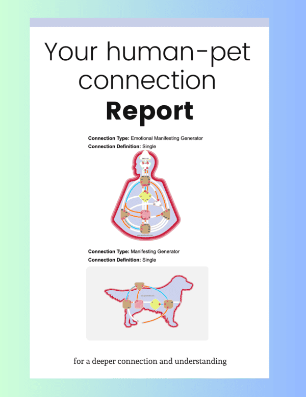 animal human connection report