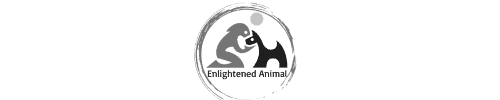 Enlightened Animal