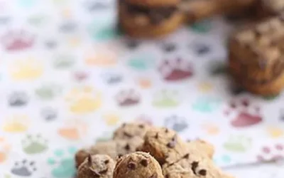 Easy gingerbread dog treats