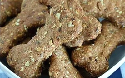 Pumpkin treats for dogs