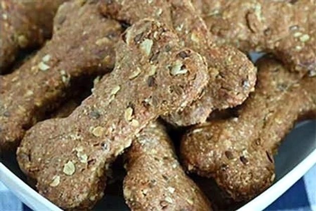 Pumpkin treats for dogs