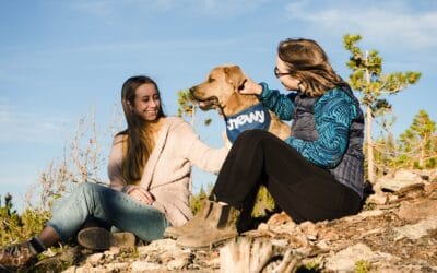 Clearing Energy Helps Animals