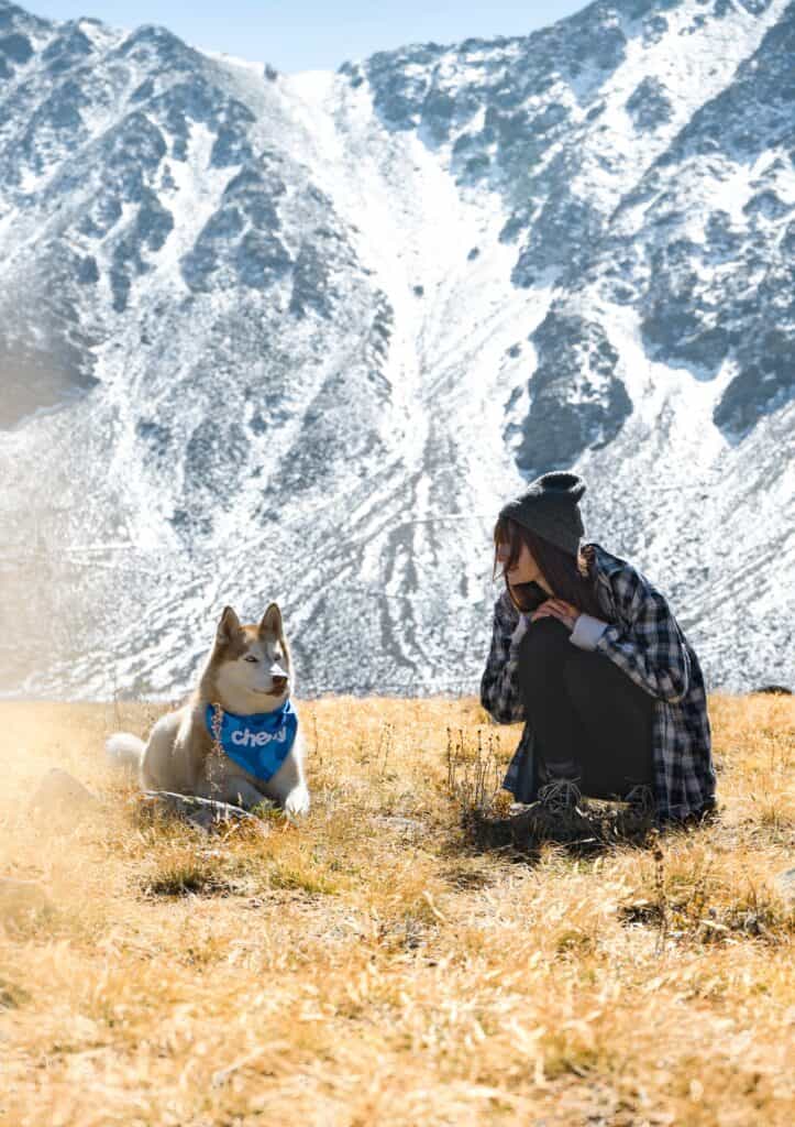 meditation with dog