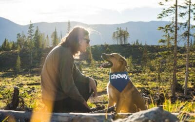 Communicating with pets in spirit