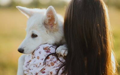 Embracing Love and Compassion: A Path to Animal Welfare Advocacy