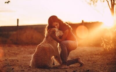 Nurturing the Heart: Embracing Compassion in Our Canine Journey