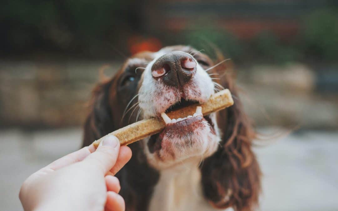 Homemade Chicken Dog Treats Recipe