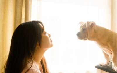 The Unique Gift of Animal Communication: Learning Life Lessons from Our Canine Companions