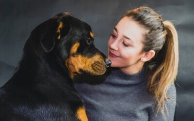 An introduction to animal communication