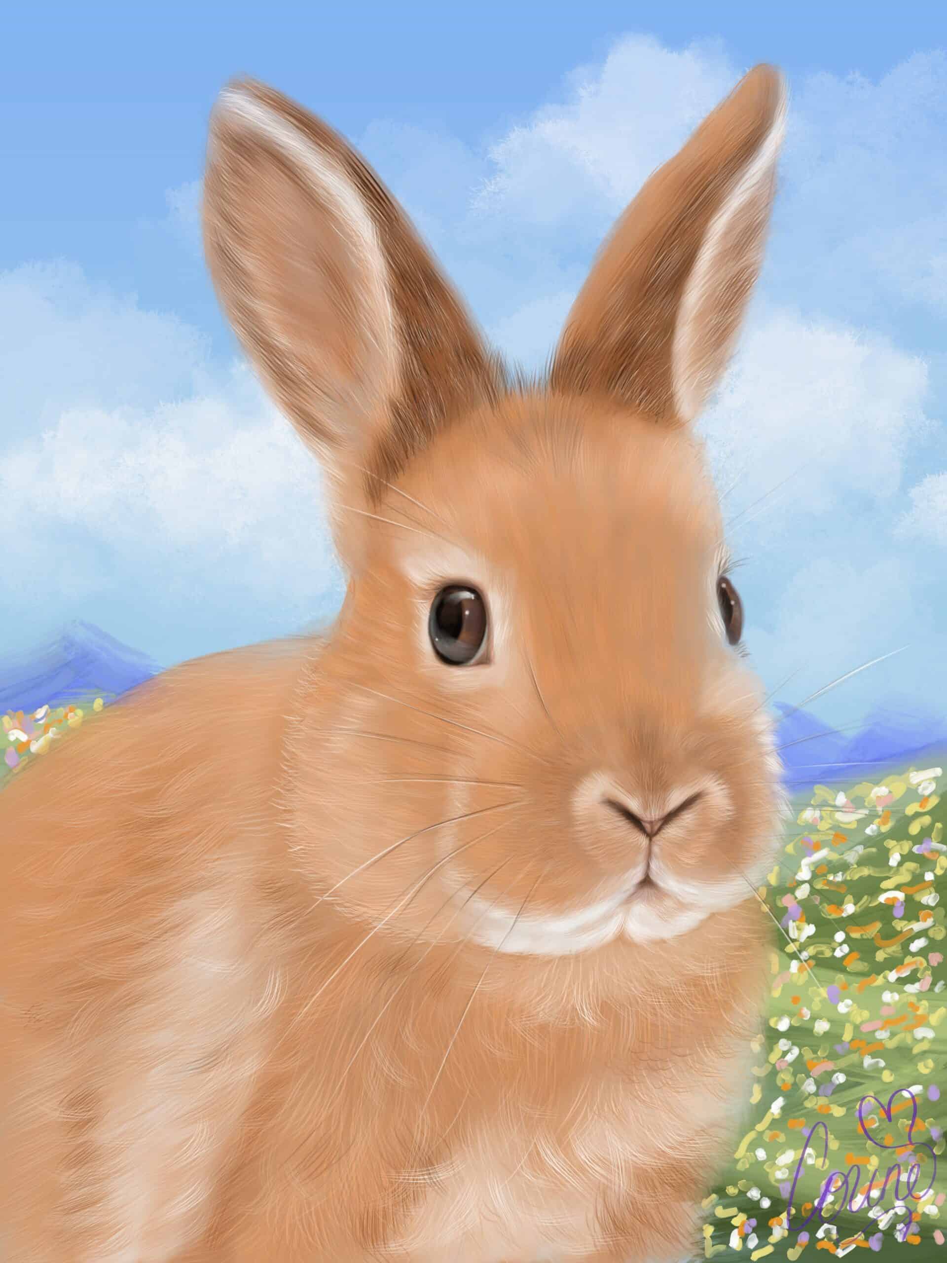 digital pet portrait